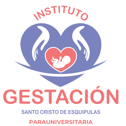 Pagos Instituto Gestación Santo Cristo
